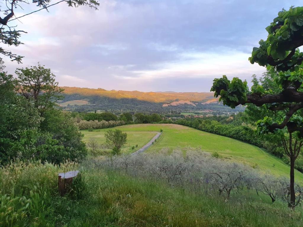 Rio * Sasso Marconi